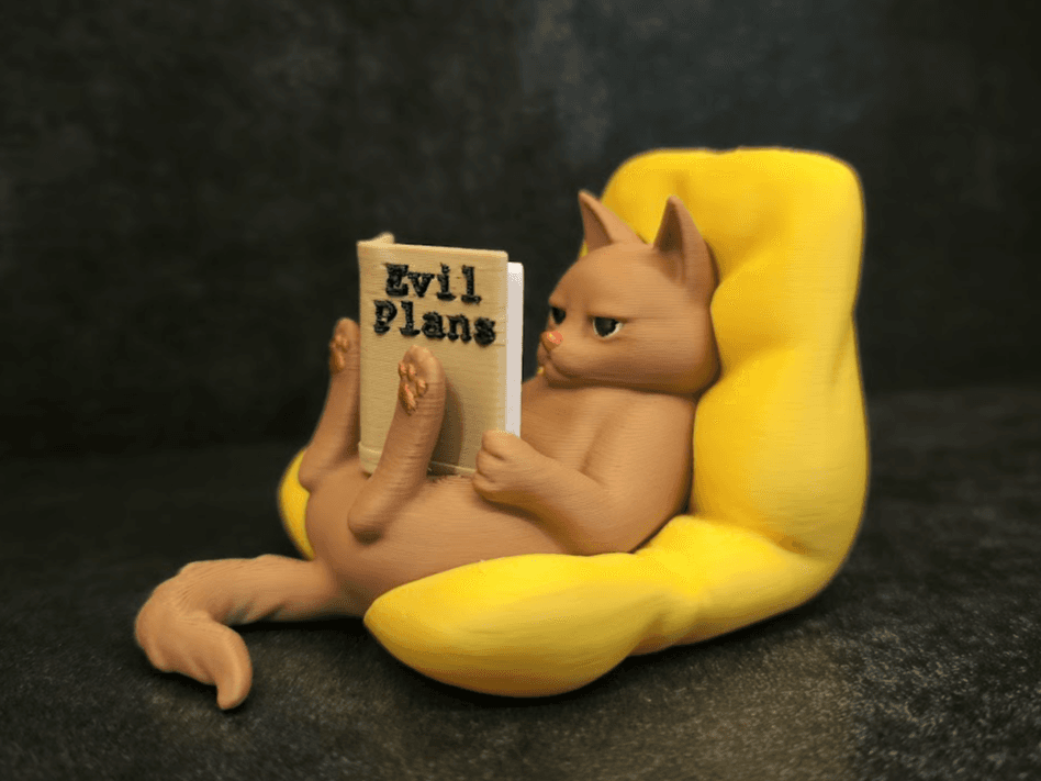 Gatinho Leitor Decorativo Personalizado